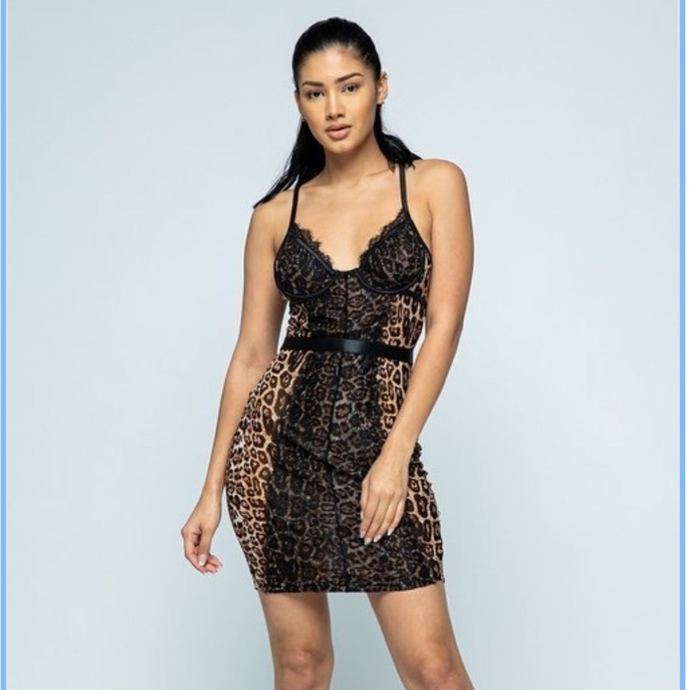 Sale! Sale! LEOPARD MESH DRESS (price is firm)